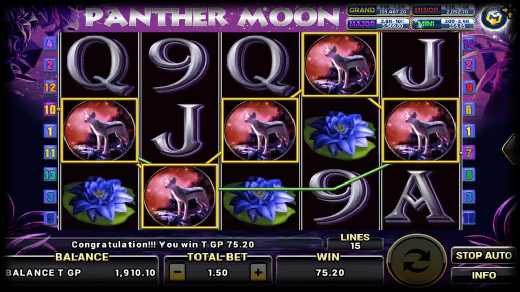 Panther Moon