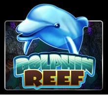 แนะนำ Dolphin Reef