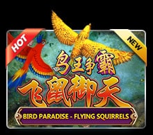 Bird Paradise