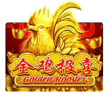 แนะนำ Golden Rooster