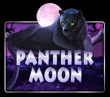 แนะนำ Panther Moon