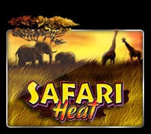 แนะนำ Safari Heat