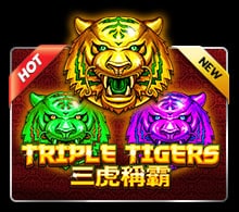 triple tigers